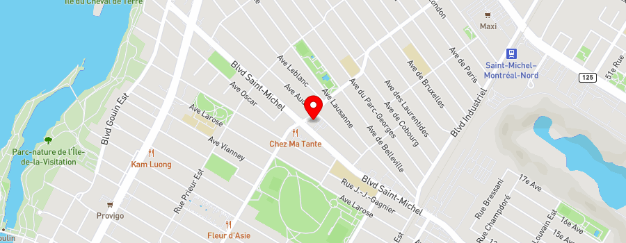 10181-boulevard-saint-michel map