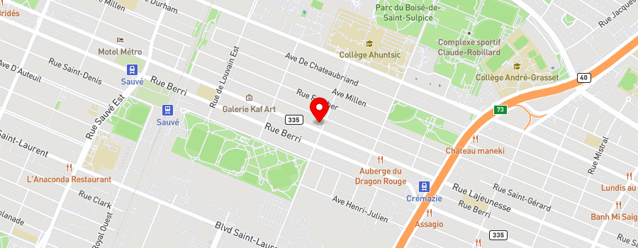 9109-rue-lajeunesse map