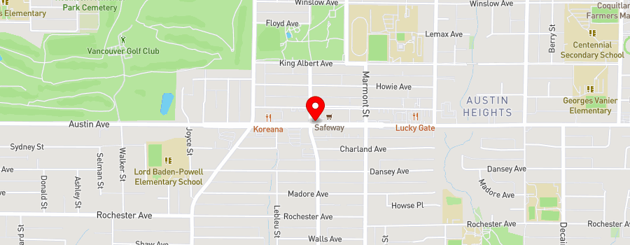 1029-austin-avenue map