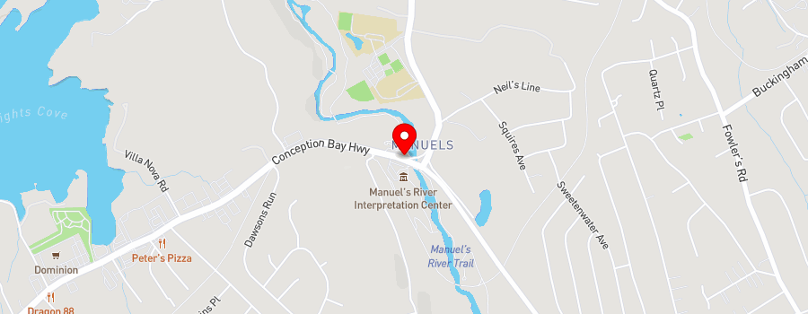 89-conception-bay-highway map