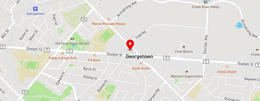 187-guelph-street map