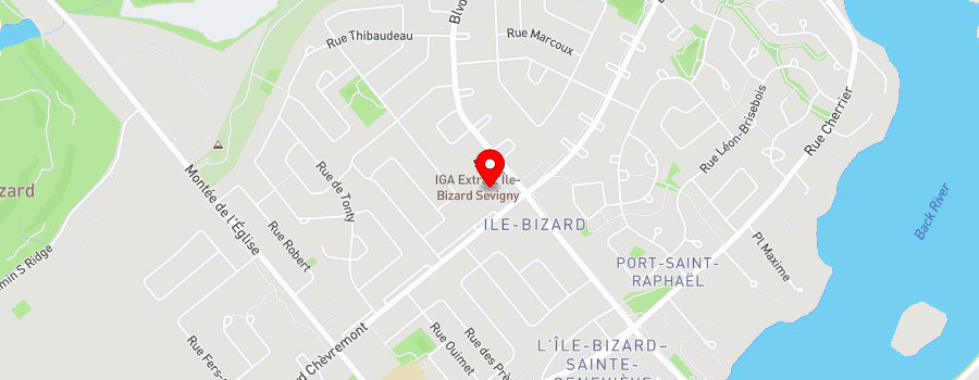 578-boul-jacques-bizard map