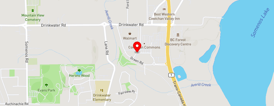 101-2951-green-road map