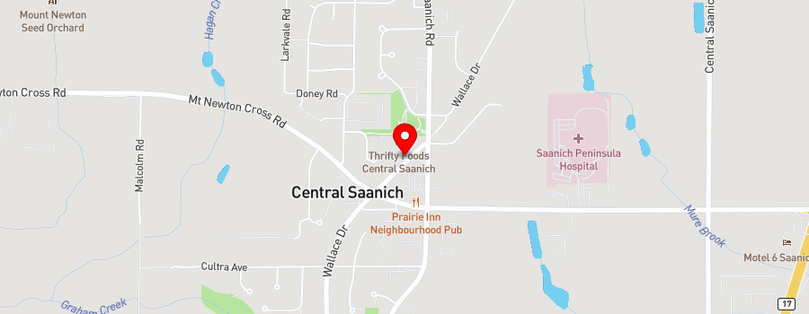 7860-wallace-drive-unit-201 map