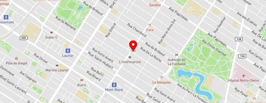 1100-ave-du-mont-royal-est map