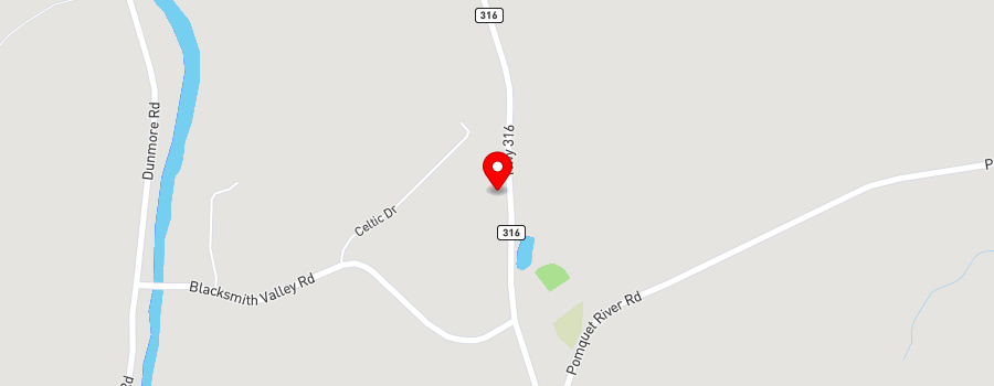 3967-highway-316 map